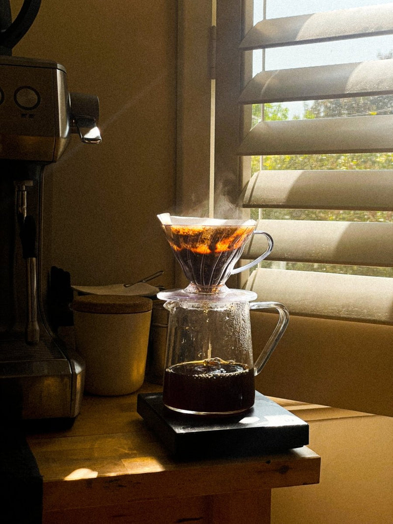 5 Reasons Light Roasted Coffee Is Better For You - AllwaysCoffee