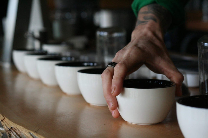 Dawn Patrol Coffee coffee