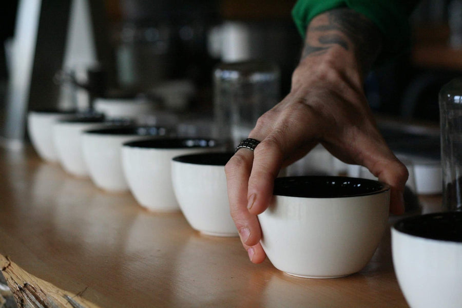 Dawn Patrol Coffee